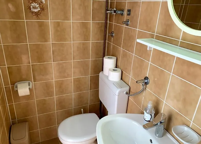 Guest house Obradovic & 3*