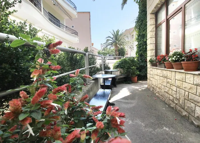 Guest house Obradovic & 3*