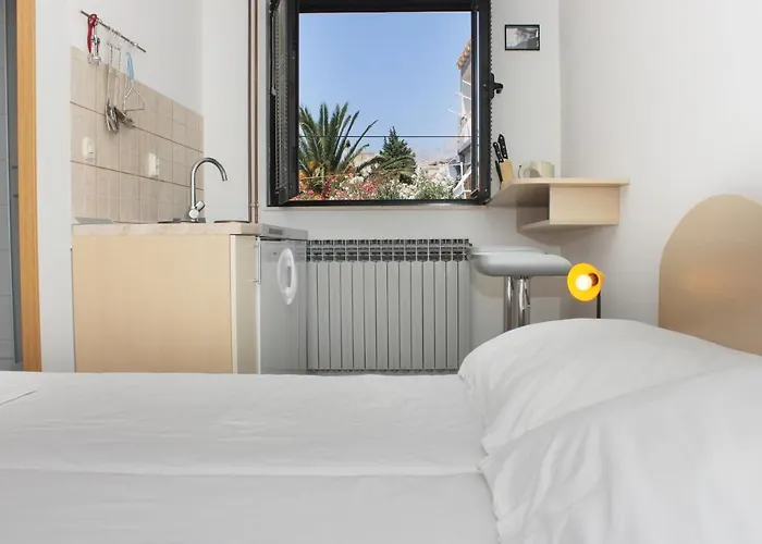 Guest house Obradovic & 3*