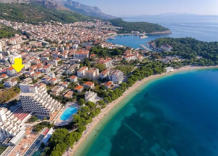 Obradovic & Πανσιόν 3*